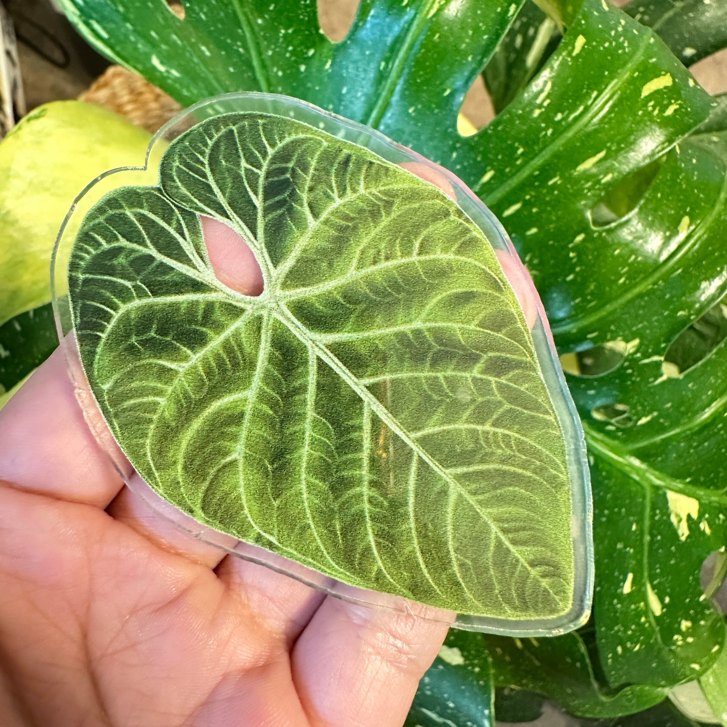 Handmade Anthurium Leaf Resin Fridge Magnets, Tropical Plant Decor