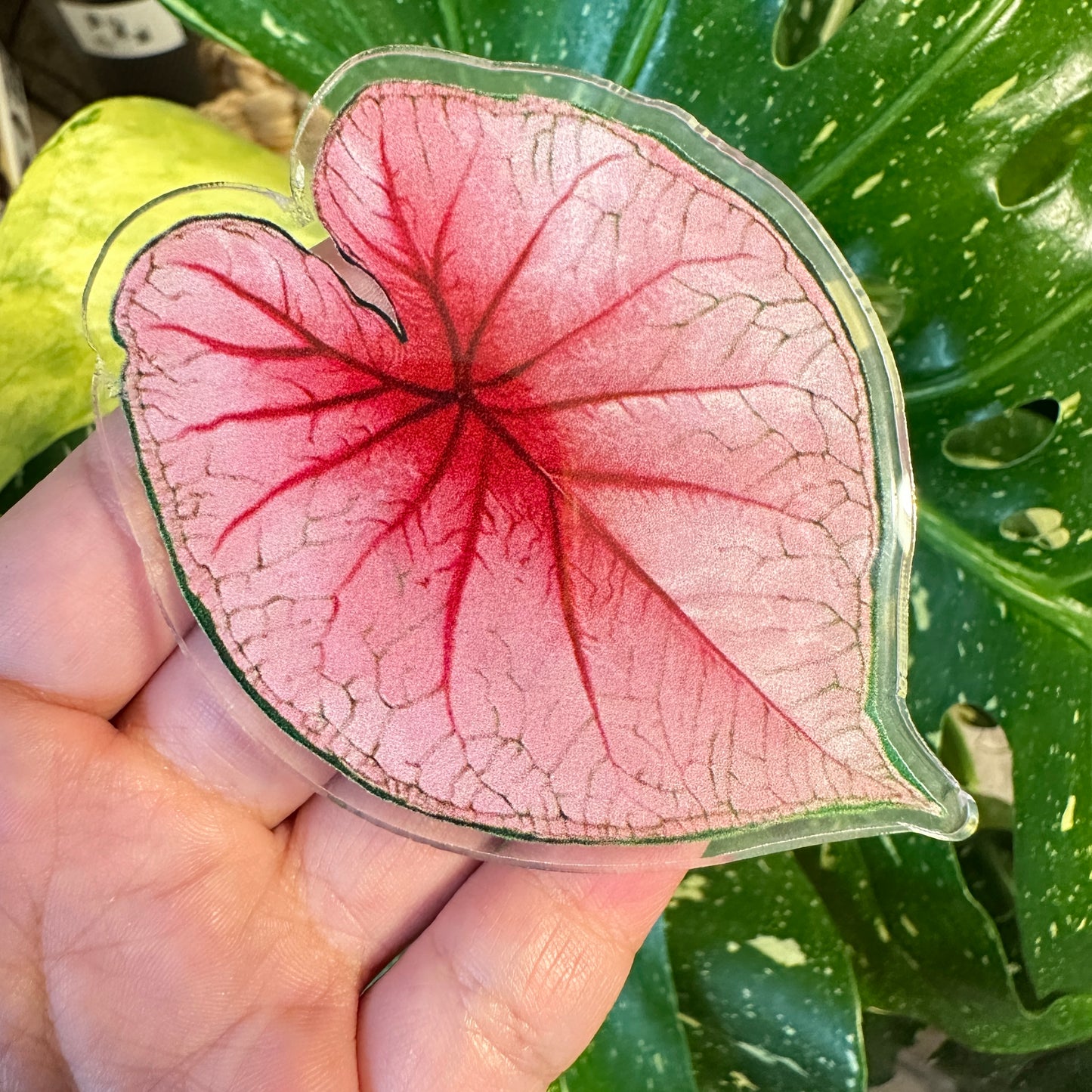Handmade Anthurium Leaf Resin Fridge Magnets, Tropical Plant Decor