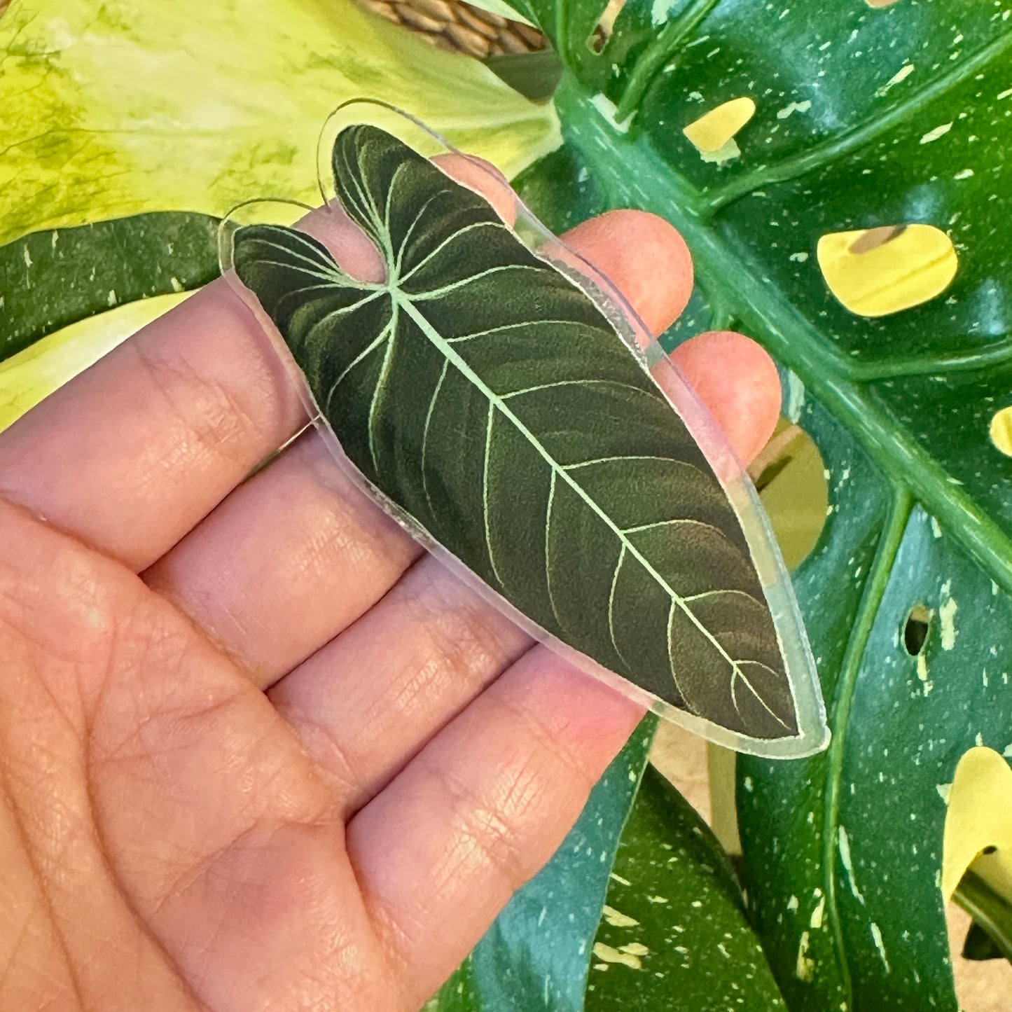 Handmade Anthurium Leaf Resin Fridge Magnets, Tropical Plant Decor