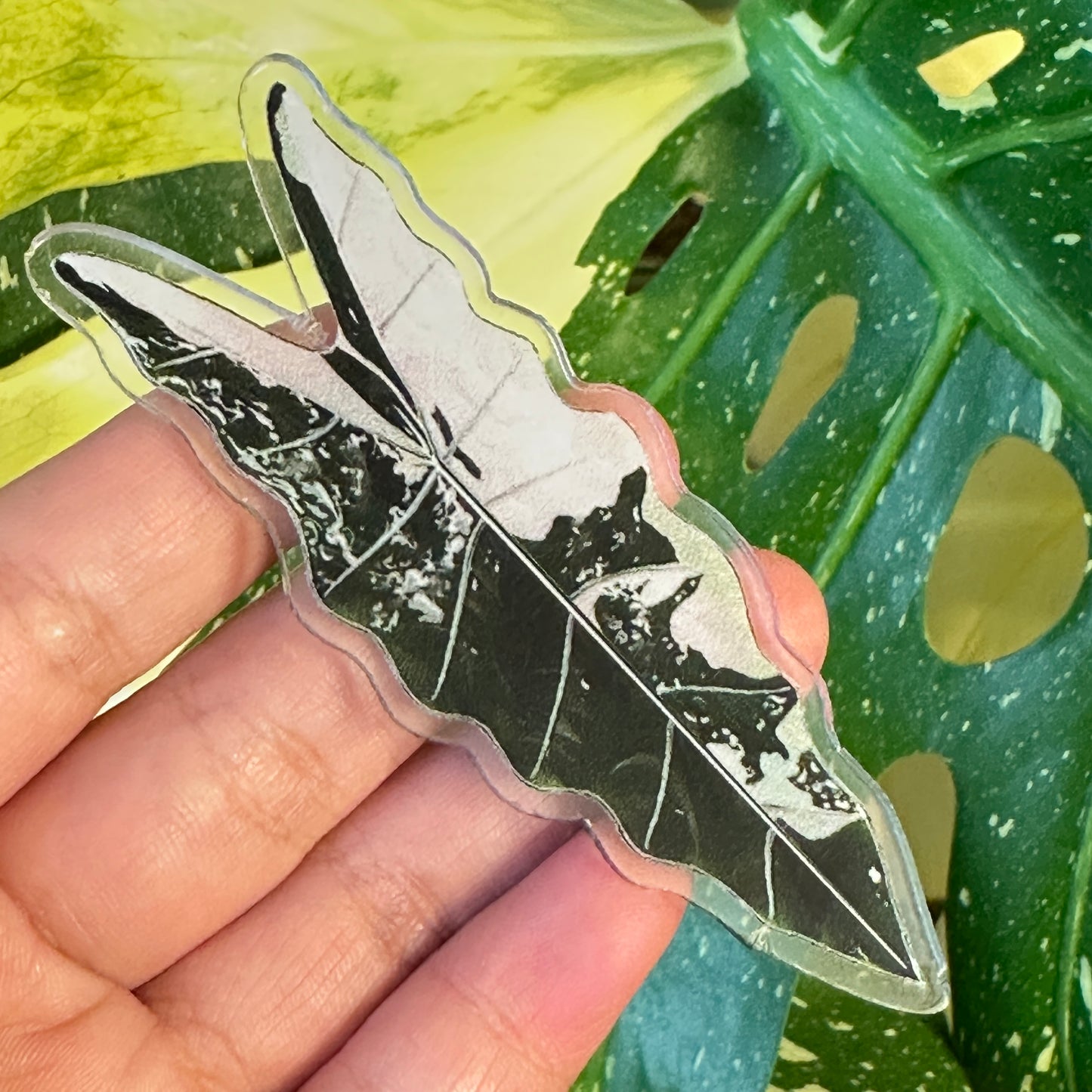 Handmade Anthurium Leaf Resin Fridge Magnets, Tropical Plant Decor