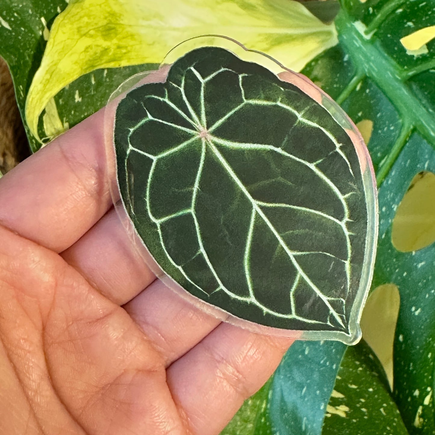 Handmade Anthurium Leaf Resin Fridge Magnets, Tropical Plant Decor