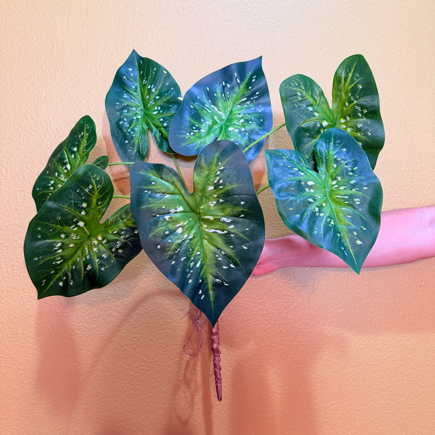 Real Touch Artificial Caladium with roots, Ultra realistic Moist Feel Faux Tropical Plant, Luxury Faux Plant Stem Home Decor
