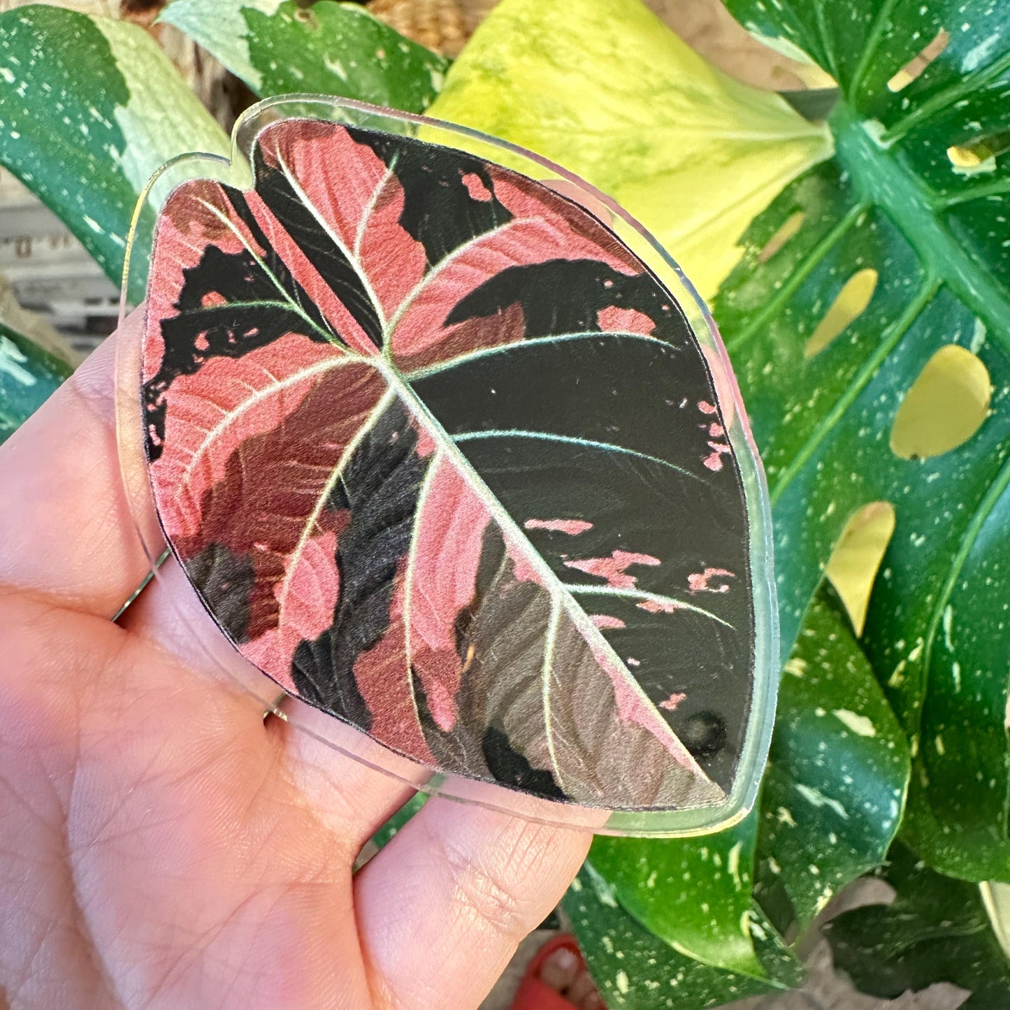 Handmade Anthurium Leaf Resin Fridge Magnets, Tropical Plant Decor