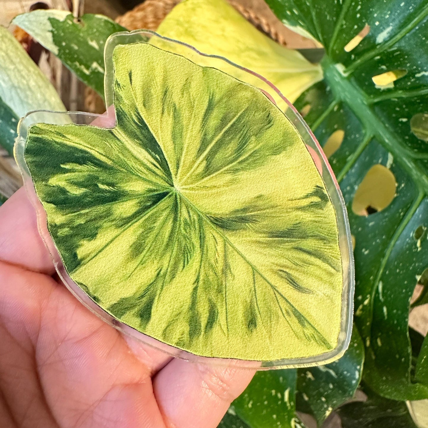 Handmade Anthurium Leaf Resin Fridge Magnets, Tropical Plant Decor