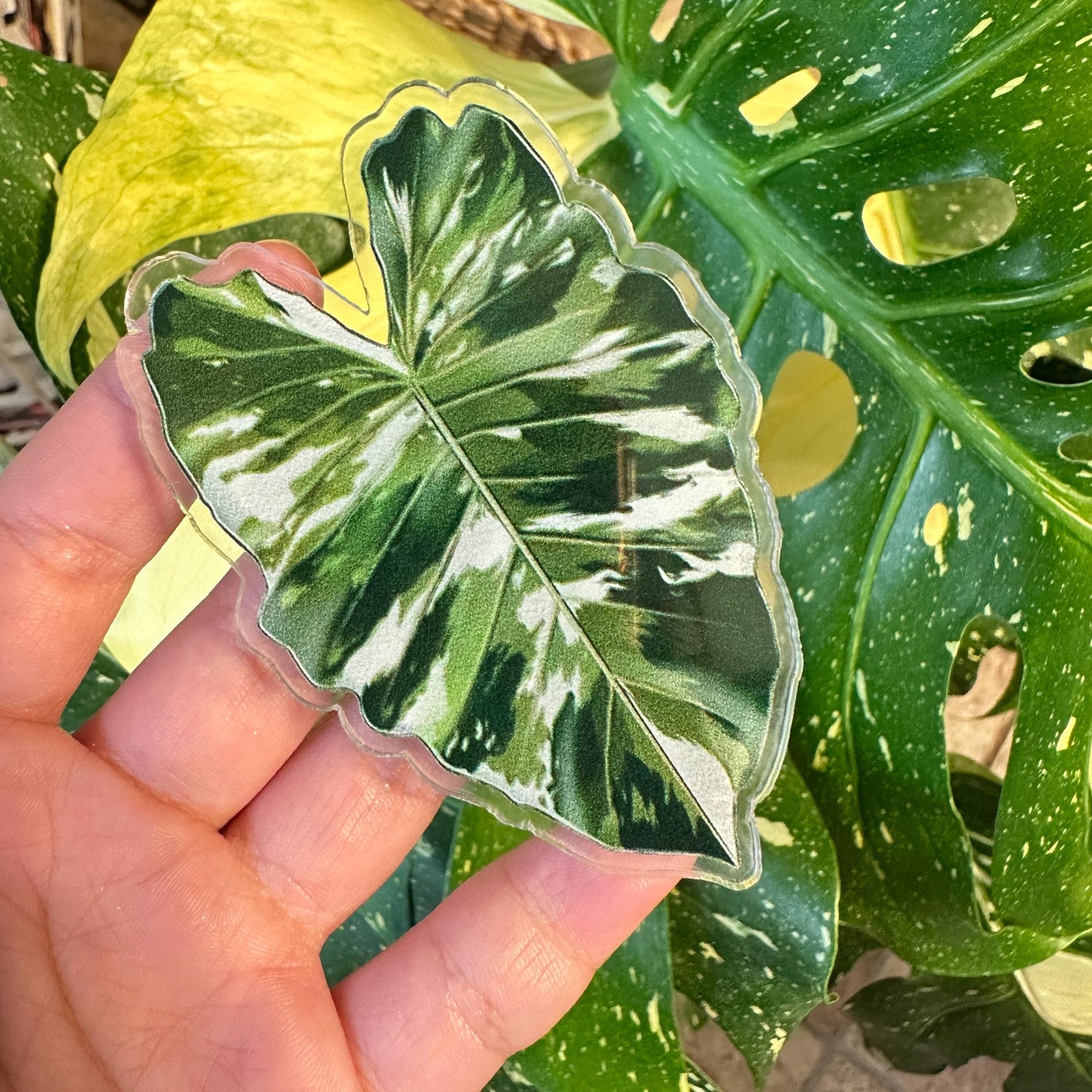 Handmade Anthurium Leaf Resin Fridge Magnets, Tropical Plant Decor