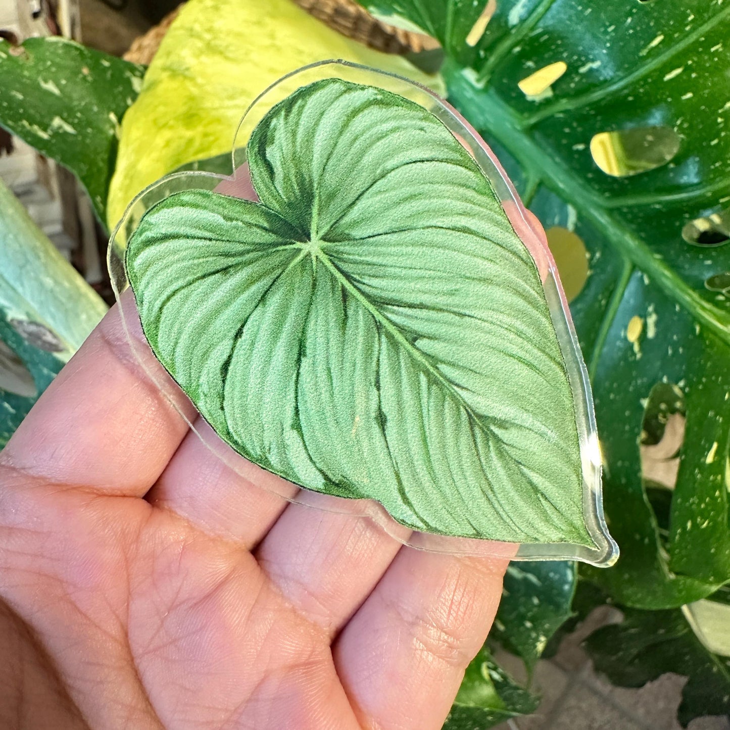 Handmade Anthurium Leaf Resin Fridge Magnets, Tropical Plant Decor