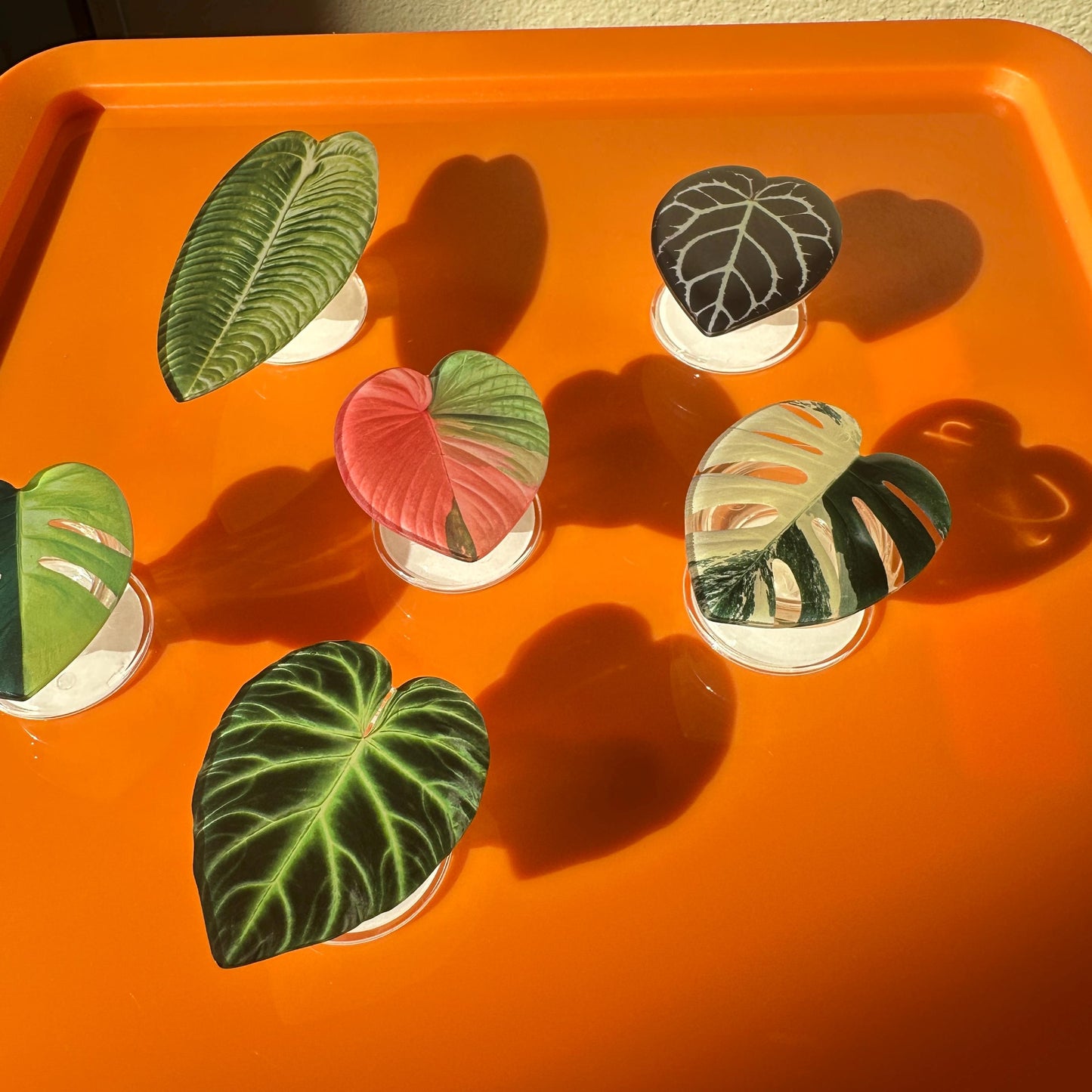 Handmade Acrylic Resin Tropical Plant Leaf Phone Grip - Adhesive, Retractable & Portable Airbag Phone Holder