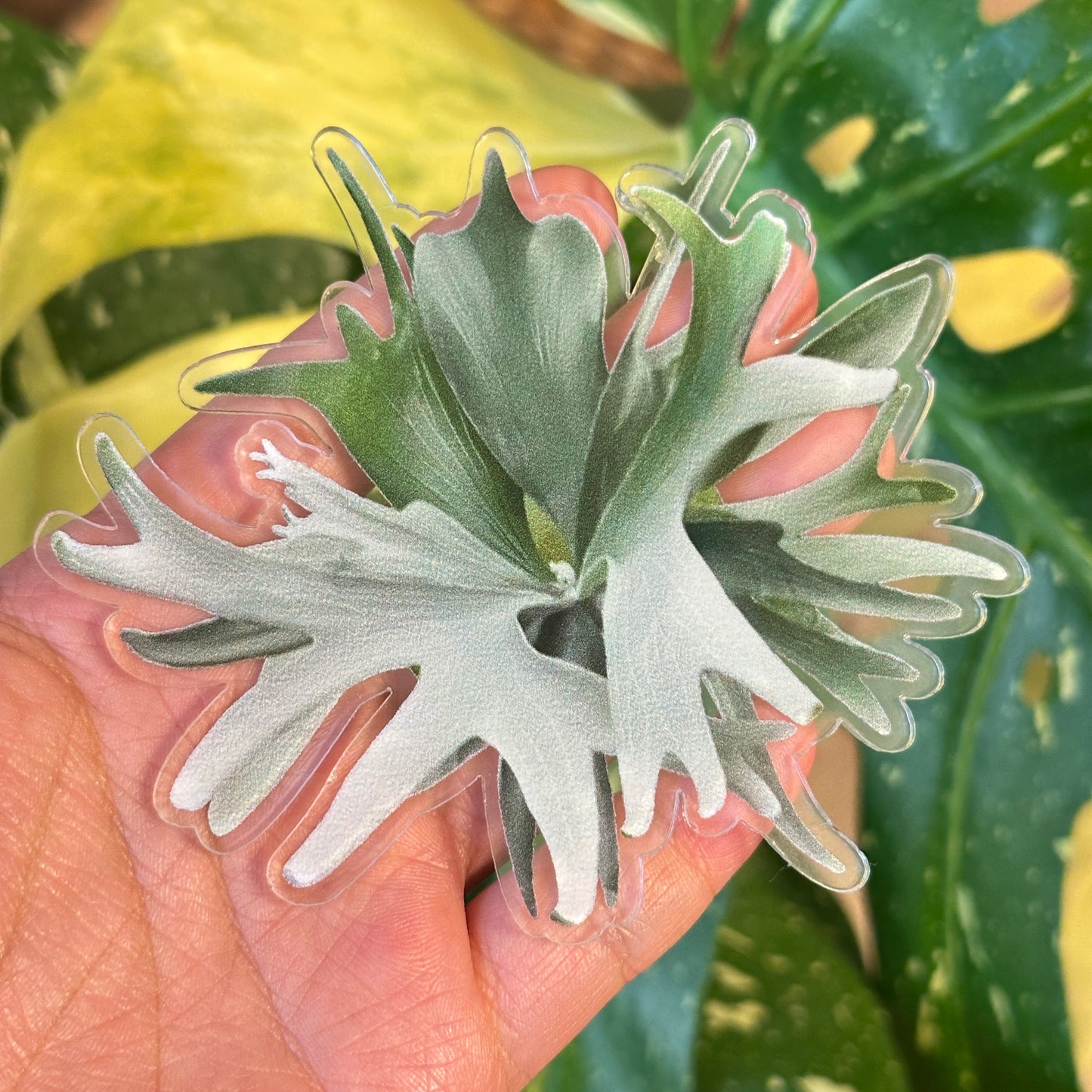 Handmade Staghorn Fern Resin Fridge Magnets - Nature's Beauty for Your Home