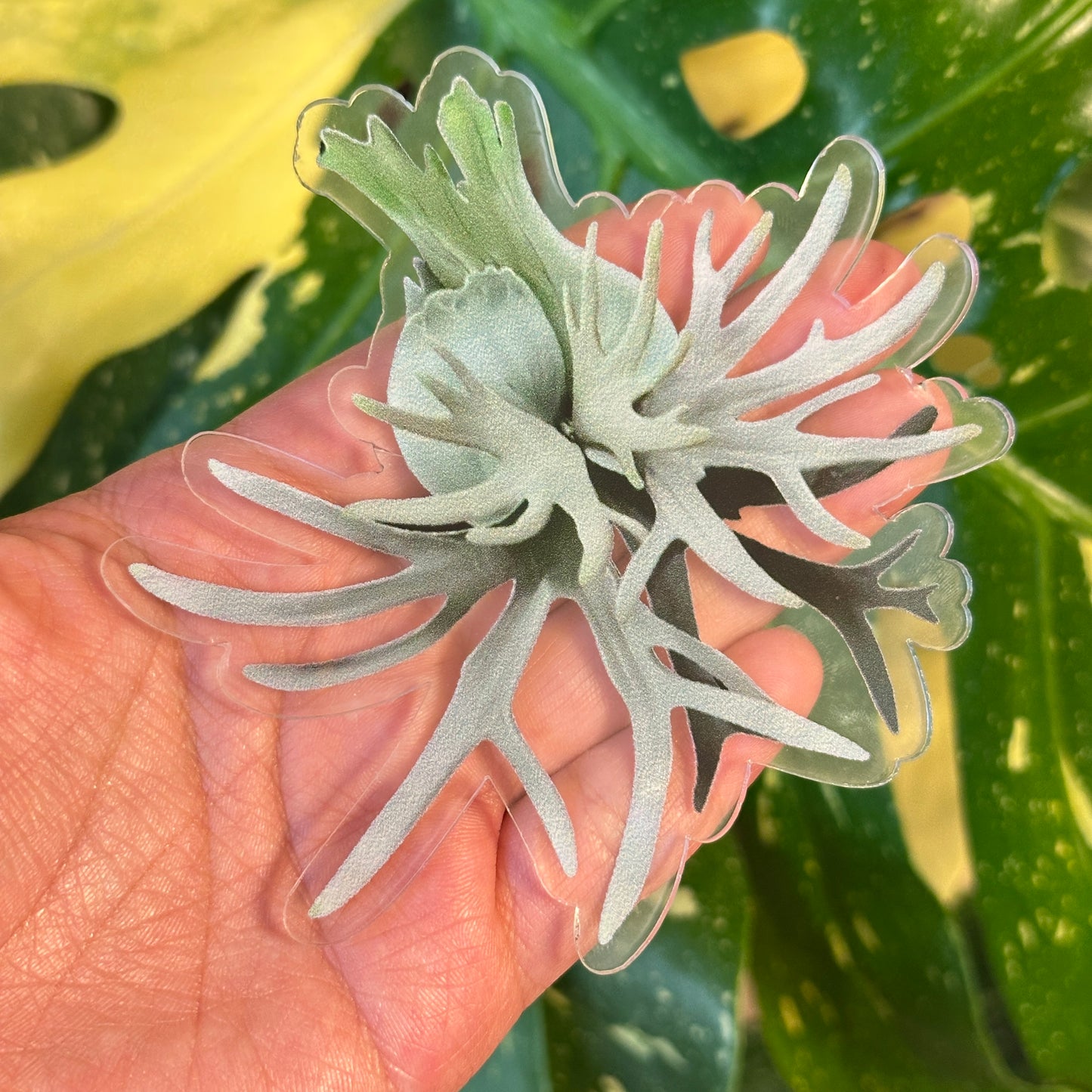 Handmade Staghorn Fern Resin Fridge Magnets - Nature's Beauty for Your Home