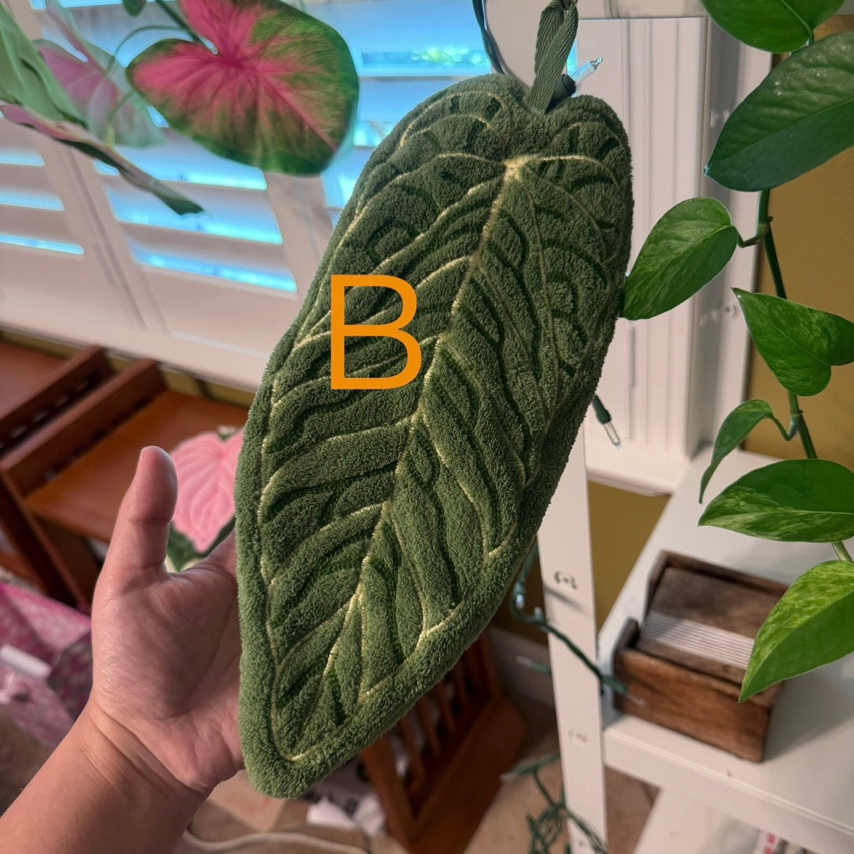 Anthurium Leaf Coral Fleece Hand Towel: Tropical Decor