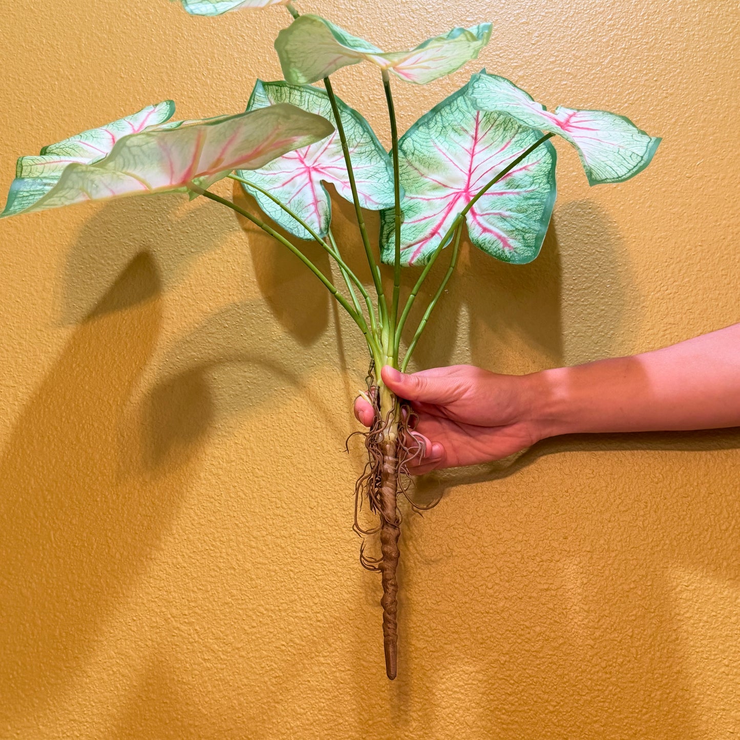 Real Touch Artificial Caladium with roots, Ultra realistic Moist Feel Faux Tropical Plant, Luxury Faux Plant Stem Home Decor