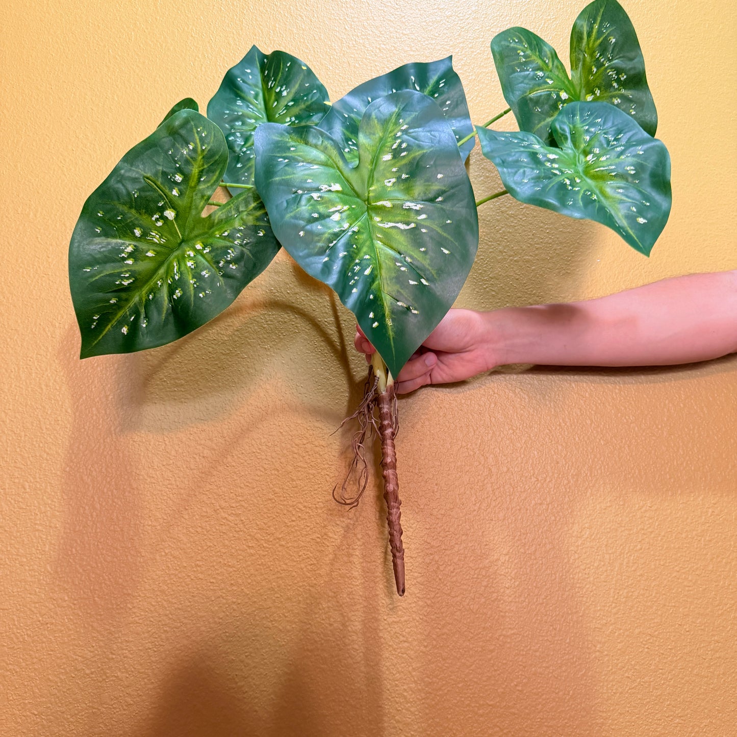 Real Touch Artificial Caladium with roots, Ultra realistic Moist Feel Faux Tropical Plant, Luxury Faux Plant Stem Home Decor