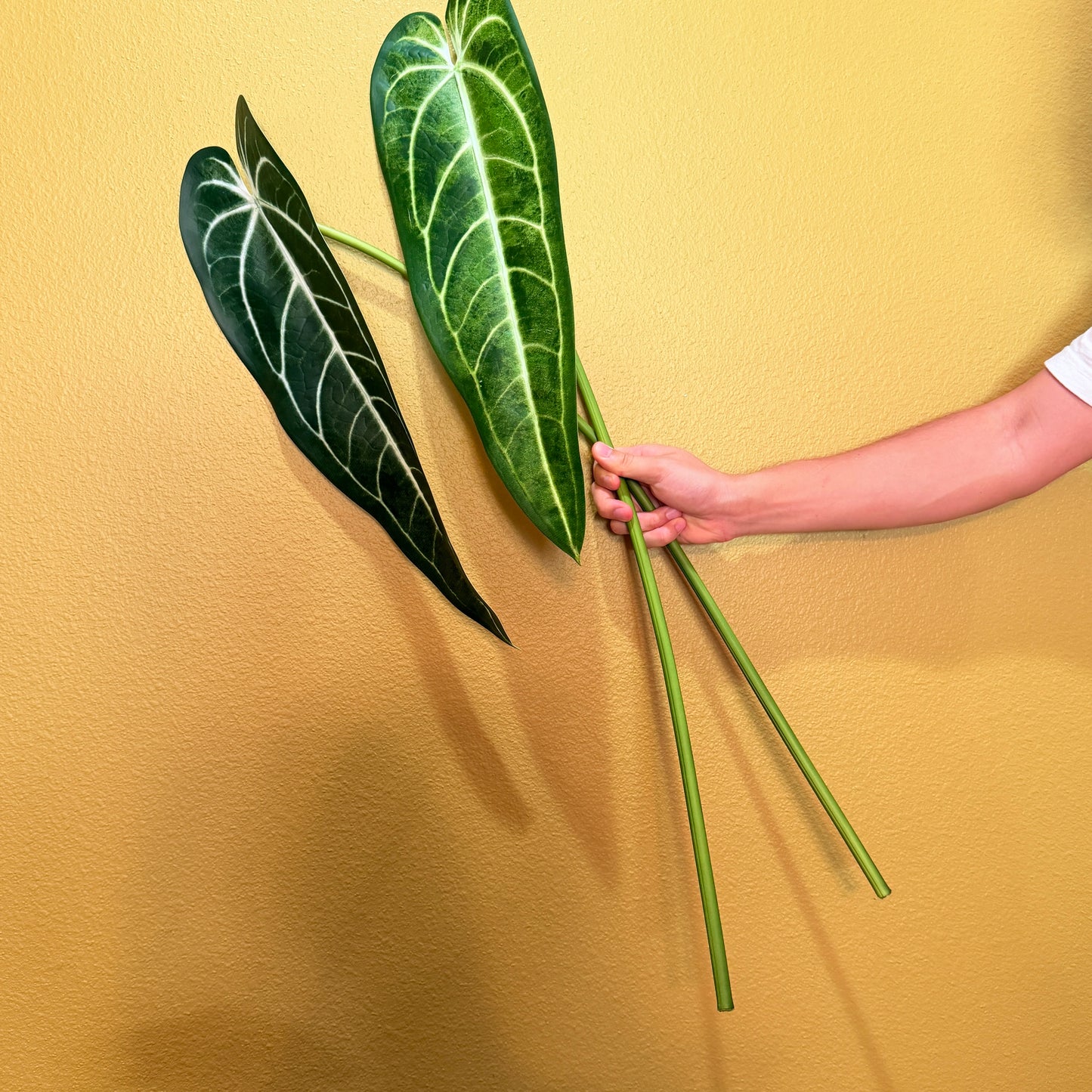 Real Touch Queen Anthurium Leaf, Ultra-Realistic Moist Feel Artificial Foliage, Luxury Faux Collector Plant Stem for Home Decor