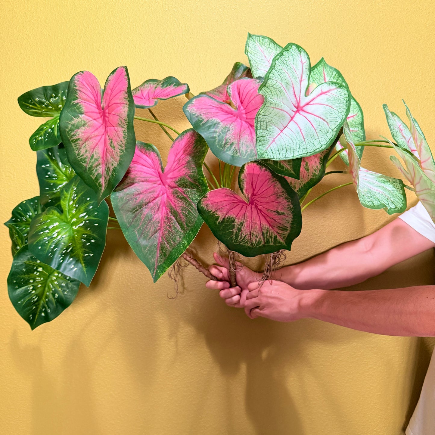 Real Touch Artificial Caladium with roots, Ultra realistic Moist Feel Faux Tropical Plant, Luxury Faux Plant Stem Home Decor