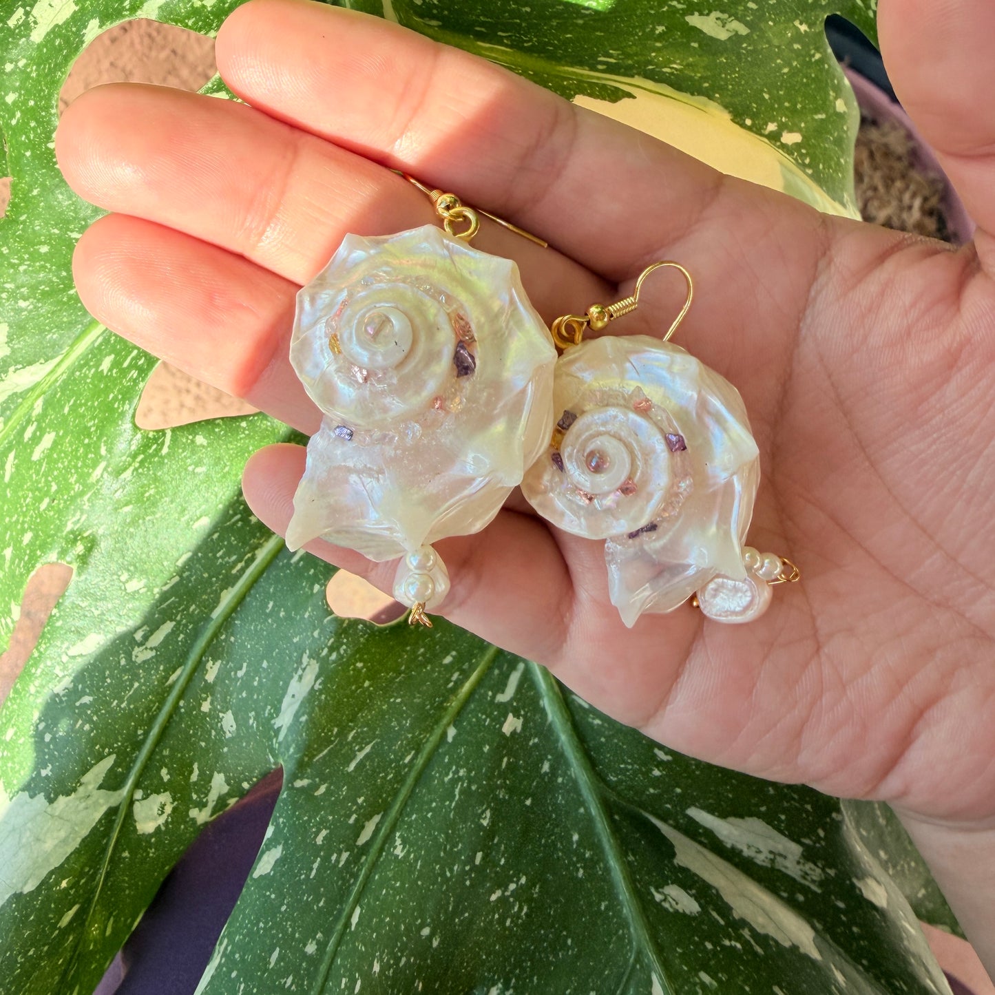 Handcrafted Iridescent Angaria Seashell Earrings with Baroque Pearls, 18K Gold-Plated Copper, Natural Dolphin Shell Drop Earrings