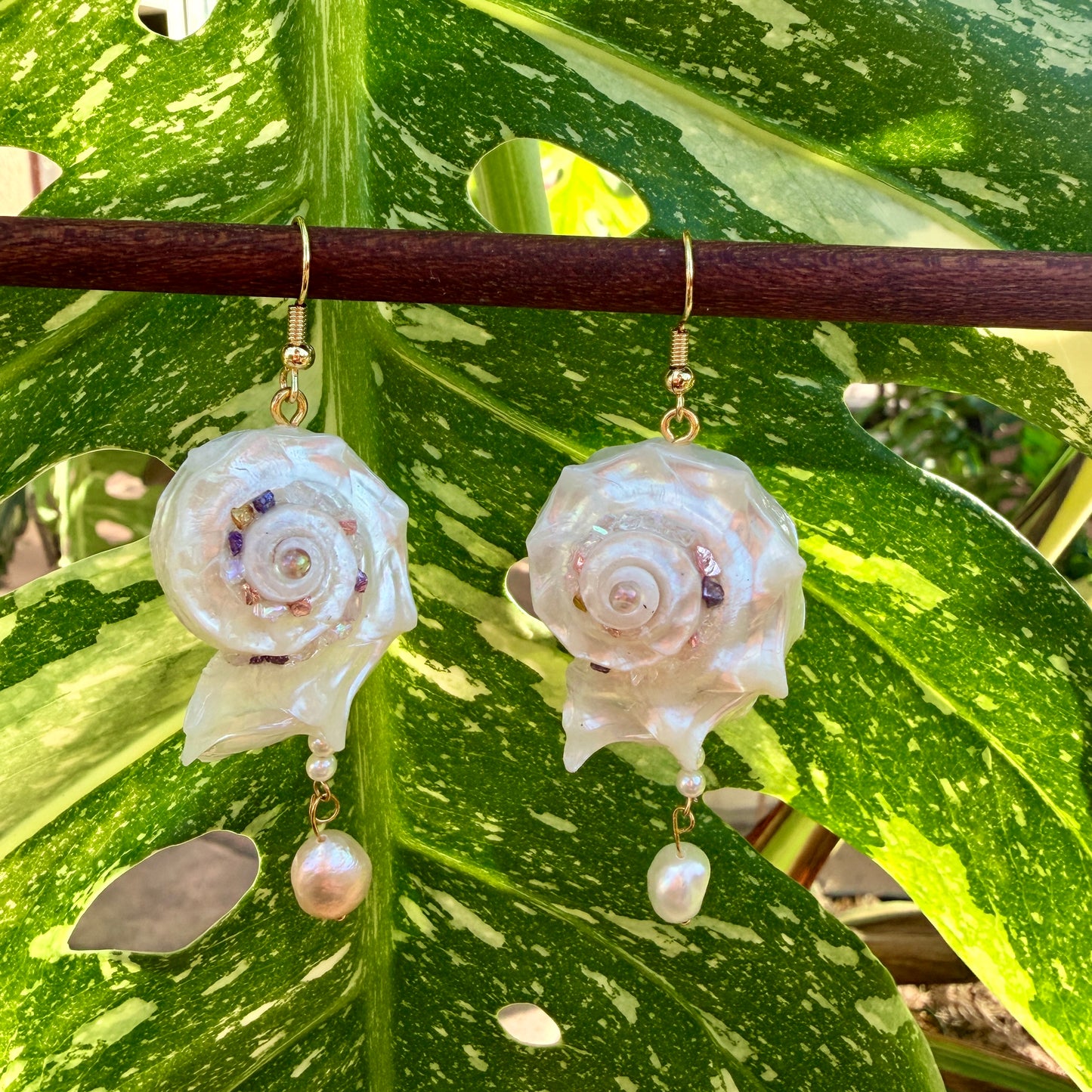 Handcrafted Iridescent Angaria Seashell Earrings with Baroque Pearls, 18K Gold-Plated Copper, Natural Dolphin Shell Drop Earrings