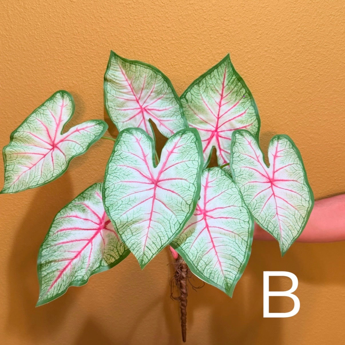Real Touch Artificial Caladium with roots, Ultra realistic Moist Feel Faux Tropical Plant, Luxury Faux Plant Stem Home Decor