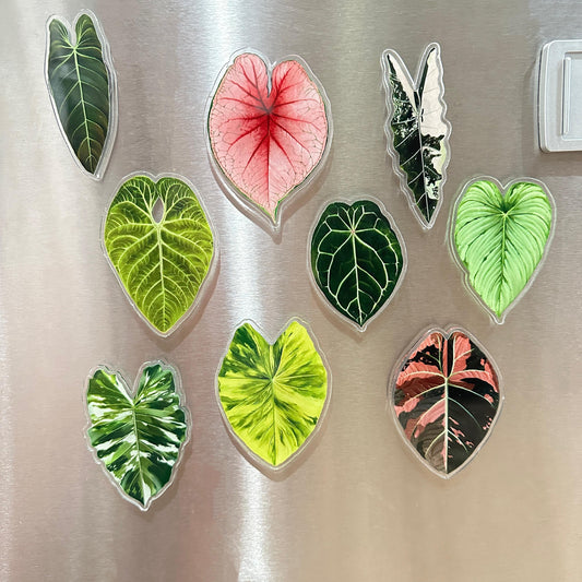 Handmade Anthurium Leaf Resin Fridge Magnets, Tropical Plant Decor
