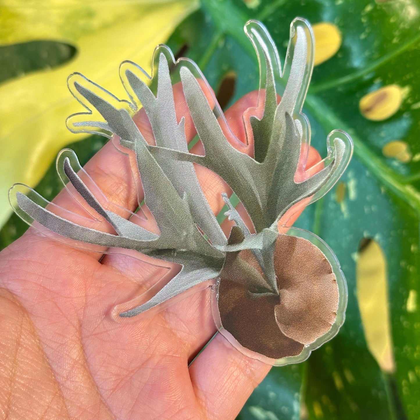 Handmade Staghorn Fern Resin Fridge Magnets - Nature's Beauty for Your Home