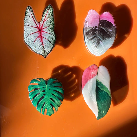 Handmade Acrylic Resin Tropical Plant Leaf cell Phone Grip Stand - Foldable, Retractable & Portable